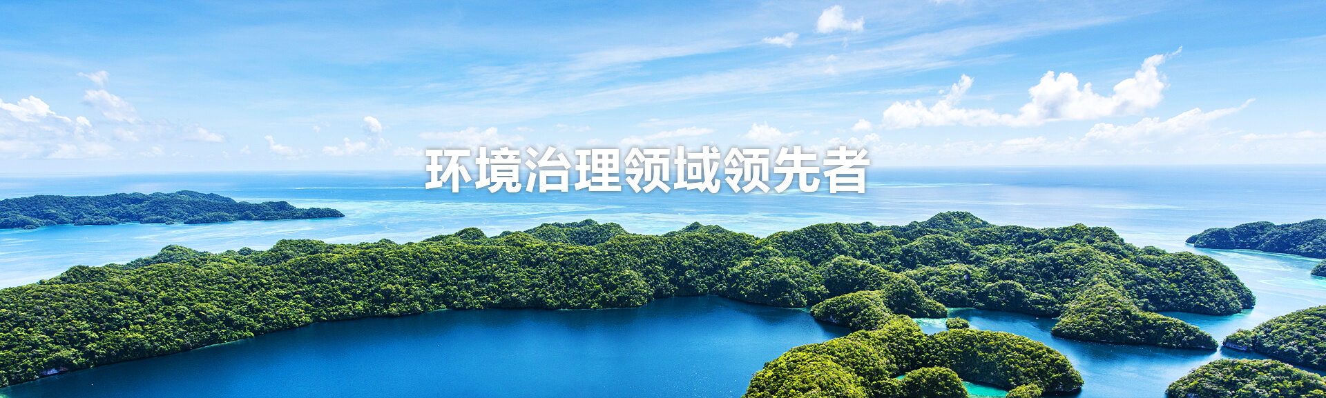 環境治理領域領先者